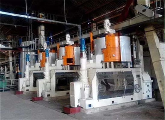 6yy-230 машина для маслоперерабатывающего завода Inca Oil Press